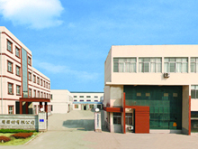 公司全景